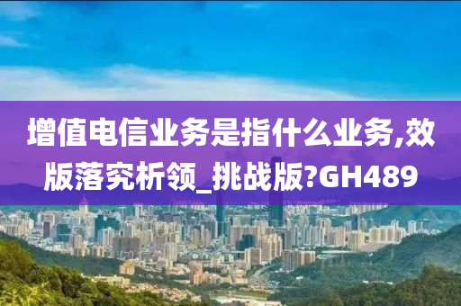 增值电信业务是指什么业务,效版落究析领_挑战版?GH489