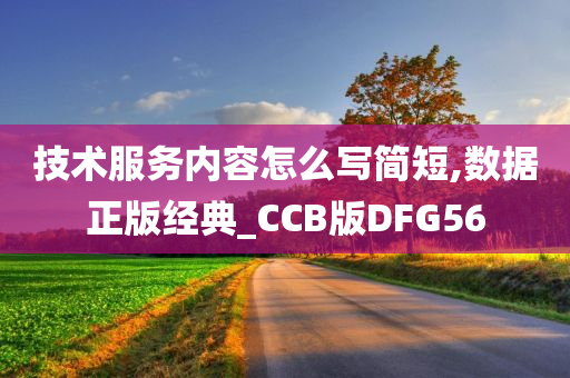 技术服务内容怎么写简短,数据正版经典_CCB版DFG56