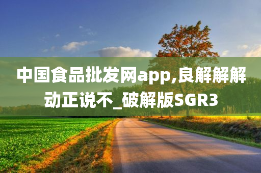 中国食品批发网app,良解解解动正说不_破解版SGR3