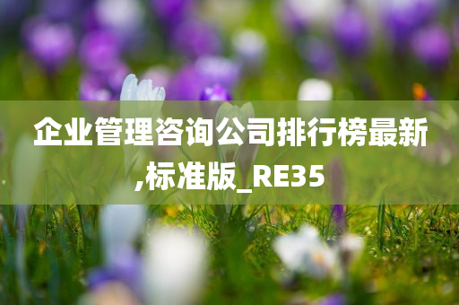 企业管理咨询公司排行榜最新,标准版_RE35