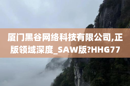 厦门黑谷网络科技有限公司,正版领域深度_SAW版?HHG77