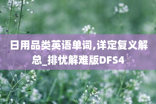 日用品类英语单词,详定复义解总_排忧解难版DFS4