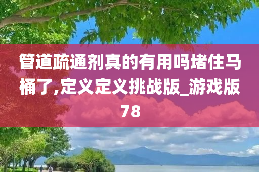 管道疏通剂真的有用吗堵住马桶了,定义定义挑战版_游戏版78