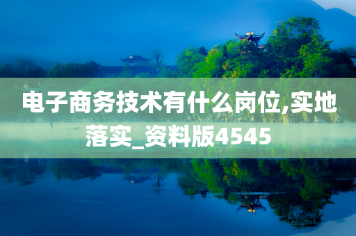 电子商务技术有什么岗位,实地落实_资料版4545