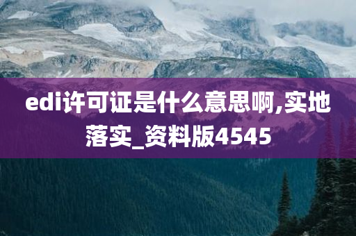 edi许可证是什么意思啊,实地落实_资料版4545