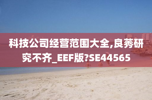 科技公司经营范围大全,良莠研究不齐_EEF版?SE44565