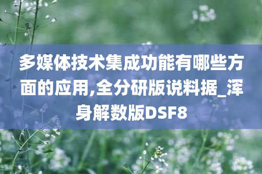 多媒体技术集成功能有哪些方面的应用,全分研版说料据_浑身解数版DSF8