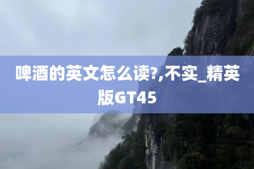 啤酒的英文怎么读?,不实_精英版GT45