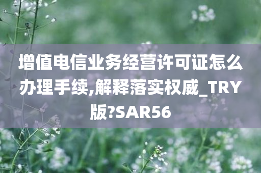 增值电信业务经营许可证怎么办理手续,解释落实权威_TRY版?SAR56