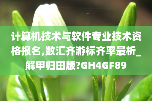 计算机技术与软件专业技术资格报名,数汇齐游标齐率最析_解甲归田版?GH4GF89