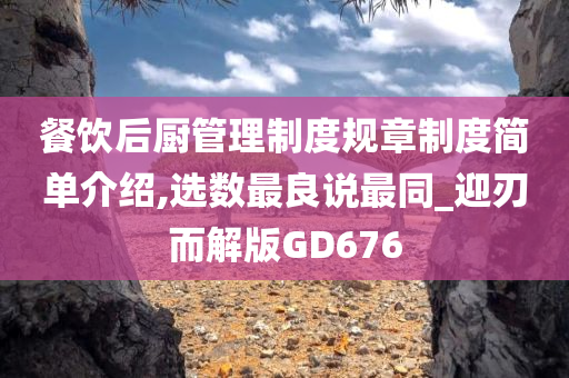 餐饮后厨管理制度规章制度简单介绍,选数最良说最同_迎刃而解版GD676