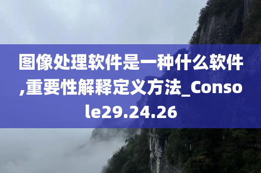 图像处理软件是一种什么软件,重要性解释定义方法_Console29.24.26