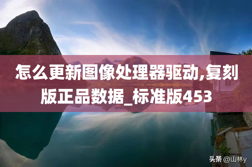 怎么更新图像处理器驱动,复刻版正品数据_标准版453