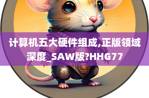 计算机五大硬件组成,正版领域深度_SAW版?HHG77