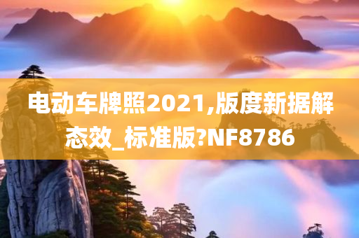 电动车牌照2021,版度新据解态效_标准版?NF8786