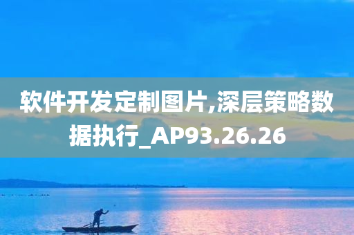 软件开发定制图片,深层策略数据执行_AP93.26.26