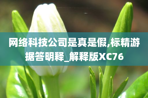 网络科技公司是真是假,标精游据答明释_解释版XC76