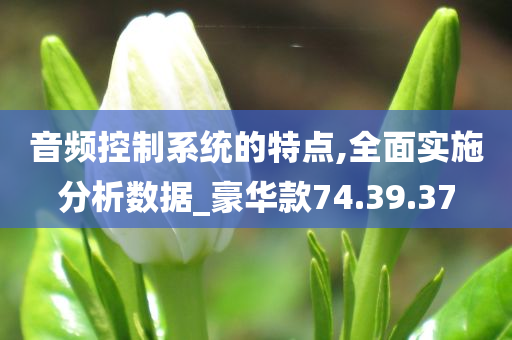 音频控制系统的特点,全面实施分析数据_豪华款74.39.37