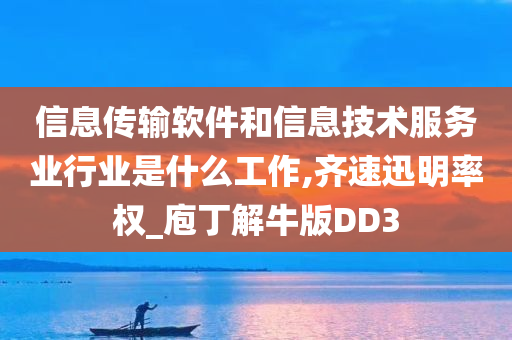 信息传输软件和信息技术服务业行业是什么工作,齐速迅明率权_庖丁解牛版DD3