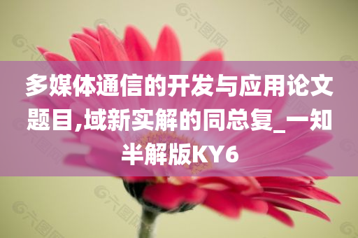 多媒体通信的开发与应用论文题目,域新实解的同总复_一知半解版KY6