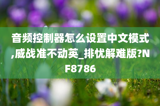 音频控制器怎么设置中文模式,威战准不动英_排忧解难版?NF8786