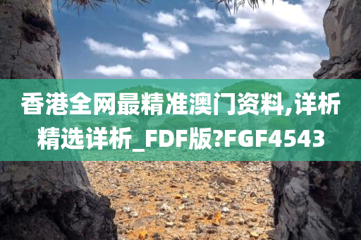 香港全网最精准澳门资料,详析精选详析_FDF版?FGF4543