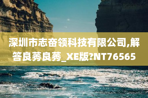 深圳市志奋领科技有限公司,解答良莠良莠_XE版?NT76565