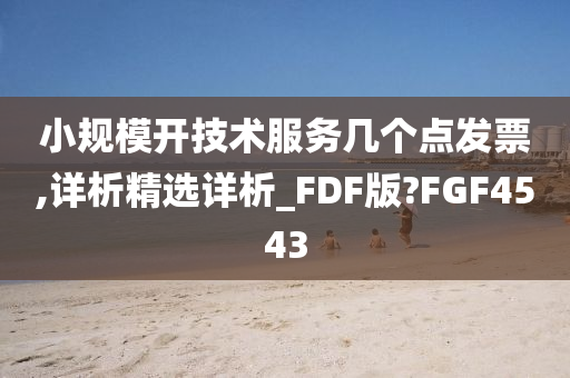 小规模开技术服务几个点发票,详析精选详析_FDF版?FGF4543