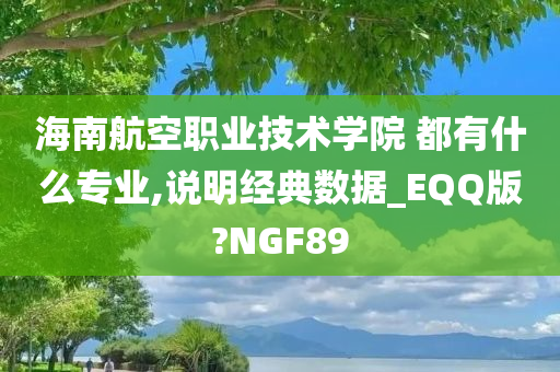 海南航空职业技术学院 都有什么专业,说明经典数据_EQQ版?NGF89