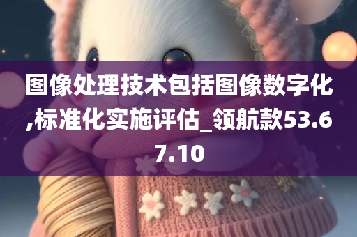 图像处理技术包括图像数字化,标准化实施评估_领航款53.67.10