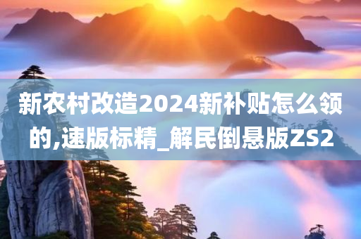 新农村改造2024新补贴怎么领的,速版标精_解民倒悬版ZS2