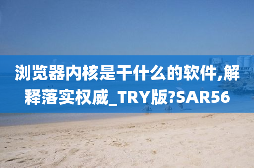 浏览器内核是干什么的软件,解释落实权威_TRY版?SAR56