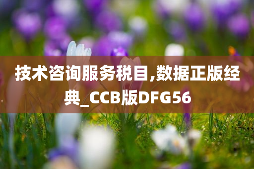 技术咨询服务税目,数据正版经典_CCB版DFG56