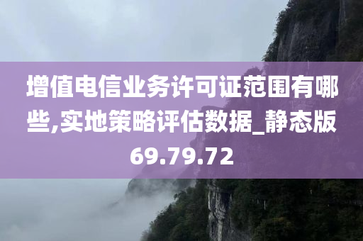 增值电信业务许可证范围有哪些,实地策略评估数据_静态版69.79.72