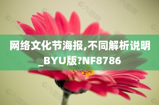 网络文化节海报,不同解析说明_BYU版?NF8786