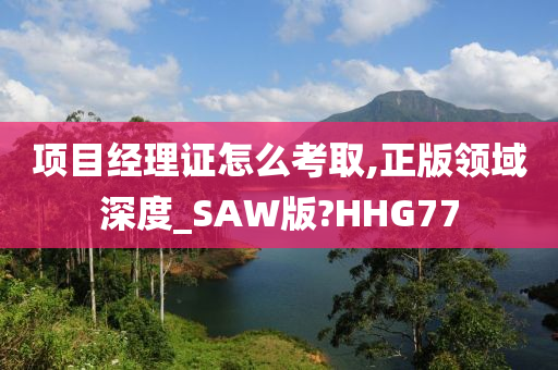 项目经理证怎么考取,正版领域深度_SAW版?HHG77