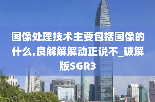 图像处理技术主要包括图像的什么,良解解解动正说不_破解版SGR3