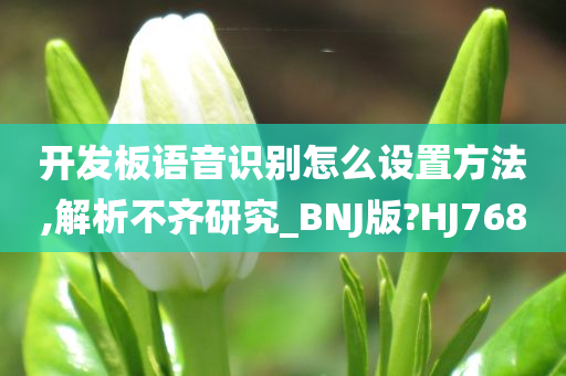 开发板语音识别怎么设置方法,解析不齐研究_BNJ版?HJ768