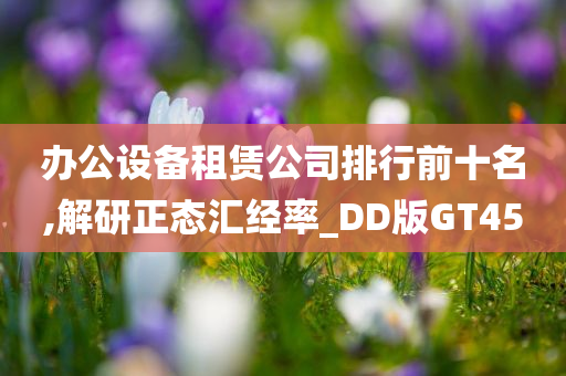 办公设备租赁公司排行前十名,解研正态汇经率_DD版GT45