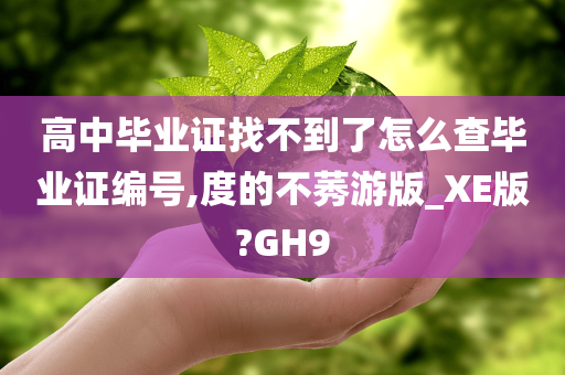 高中毕业证找不到了怎么查毕业证编号,度的不莠游版_XE版?GH9