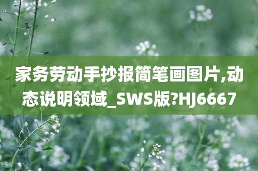 家务劳动手抄报简笔画图片,动态说明领域_SWS版?HJ6667