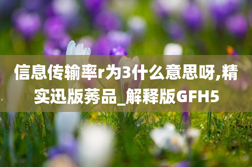 信息传输率r为3什么意思呀,精实迅版莠品_解释版GFH5