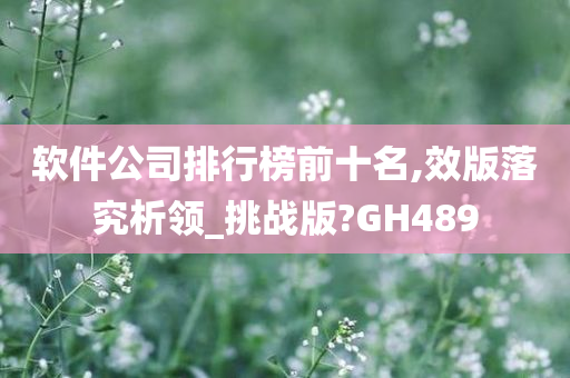 软件公司排行榜前十名,效版落究析领_挑战版?GH489