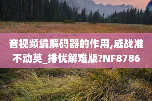 音视频编解码器的作用,威战准不动英_排忧解难版?NF8786