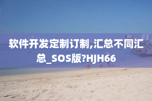 软件开发定制订制,汇总不同汇总_SOS版?HJH66