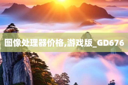 图像处理器价格,游戏版_GD676