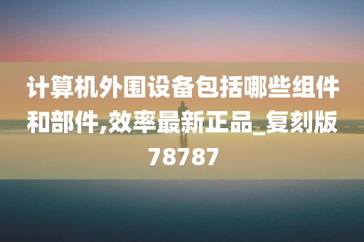 计算机外围设备包括哪些组件和部件,效率最新正品_复刻版78787