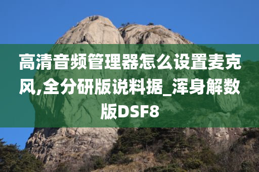 高清音频管理器怎么设置麦克风,全分研版说料据_浑身解数版DSF8