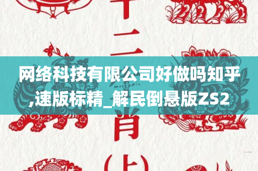 网络科技有限公司好做吗知乎,速版标精_解民倒悬版ZS2