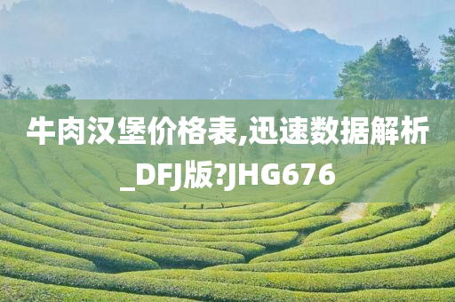 牛肉汉堡价格表,迅速数据解析_DFJ版?JHG676